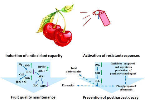 Plant-derived secondary metabolites for maintaining fruit quality and inhibiting postharvest decay