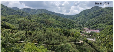 Planting New Forests with High Functional Diversity Helps Improve Productivity