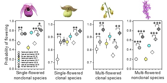 The researchers reveal trait-dependent demographic costs of reproduction in coexisting plant species