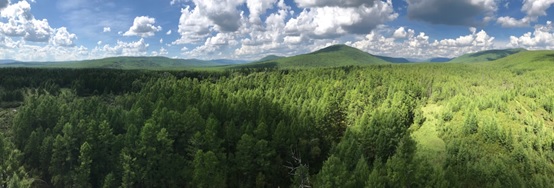 Scientists revealed changes of vegetation community complexity across China over the past 30 years