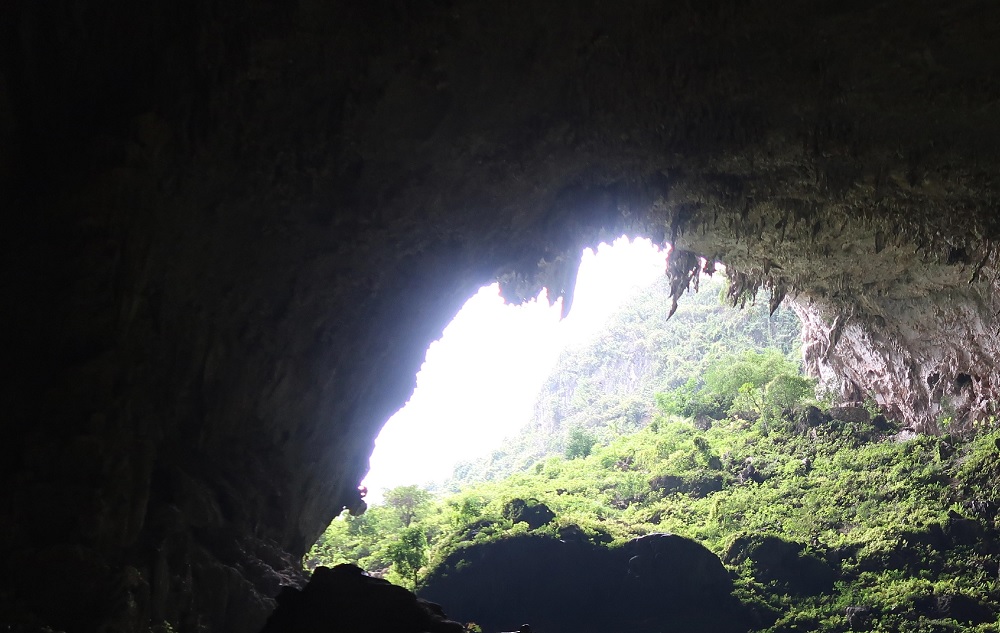 Scientists Unravel the biotic colonization history of subtropical East Asian caves