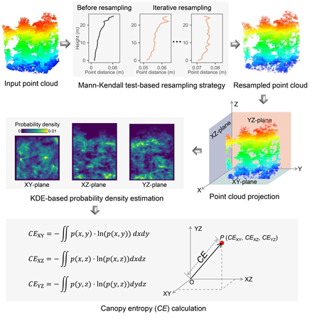 Scientists propose a novel method to quantify forest canopy structure complexity from multiplatform lidar data