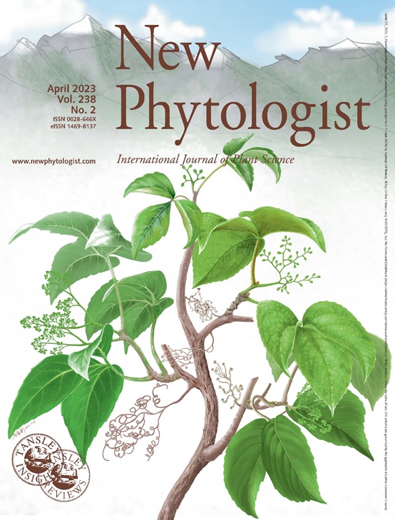 Speciation Dynamics in the Himalayan–Hengduan Mountains: A Case from Parthenocissus, the Grape Family