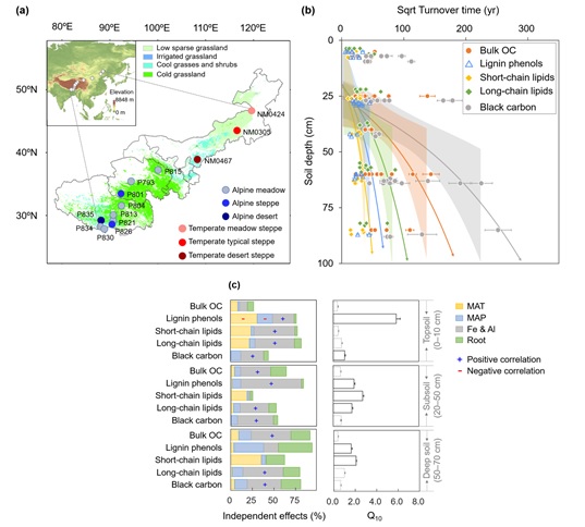 Scientists Provide Direct Evidence for the Relatively Fast Cycling of Lignin and its High Temperature Sensitivity