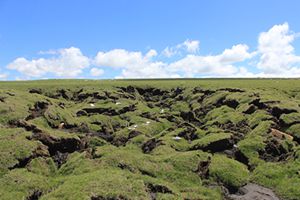 Abrupt Permafrost Thaw Intensifies Warming Effects on Soil CO2 Emission