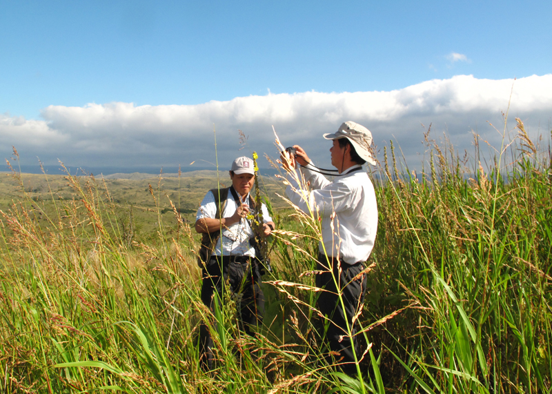 Chinese botanists strengthen cooperation with Argentina's