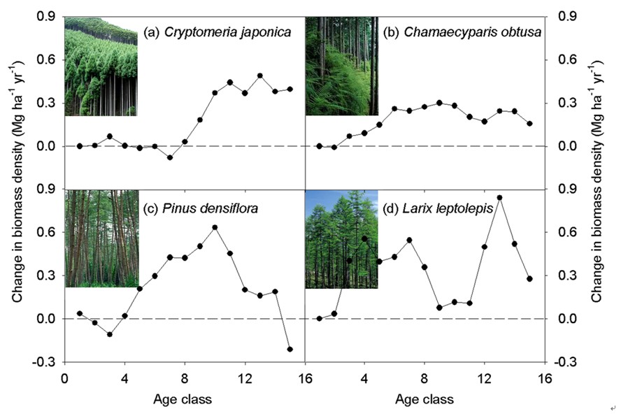 Researchers Provide Direct Evidence for Environmentally Enhanced Forest Growth