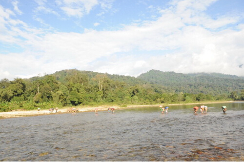 Researchers Accomplished China-Myanmar Joint expedition