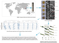 Vegetation responses to the warming at the Younger Dryas-Holocene transition in the Hengduan Mountains