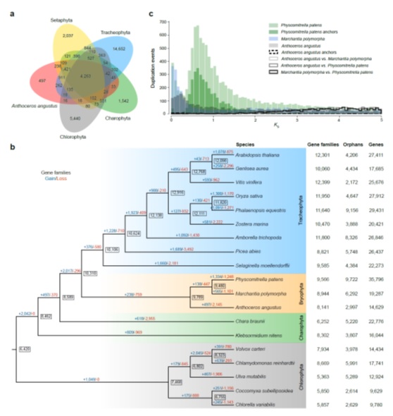 ‘Stolen Genes’ for Plant Colonization：Chinese Scientists Find New Evidence
