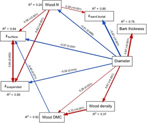 Woody stem decomposition and their drivers in the semi-arid inland dunes