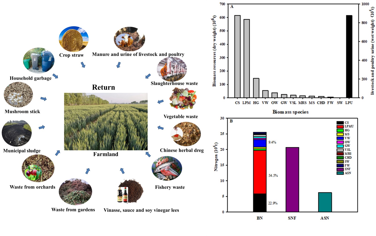 Biomass nitrogen has huge potential in replacing chemical fertilizers in China