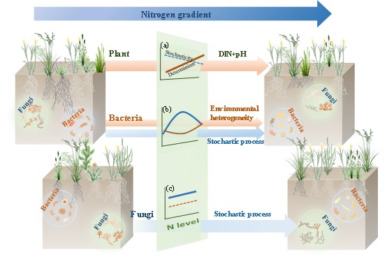 New Evidence Sheds Light on Community Trajectories under N Deposition