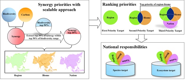 Setting biodiversity and climate targets for national conservation action by 2030 in Asia
