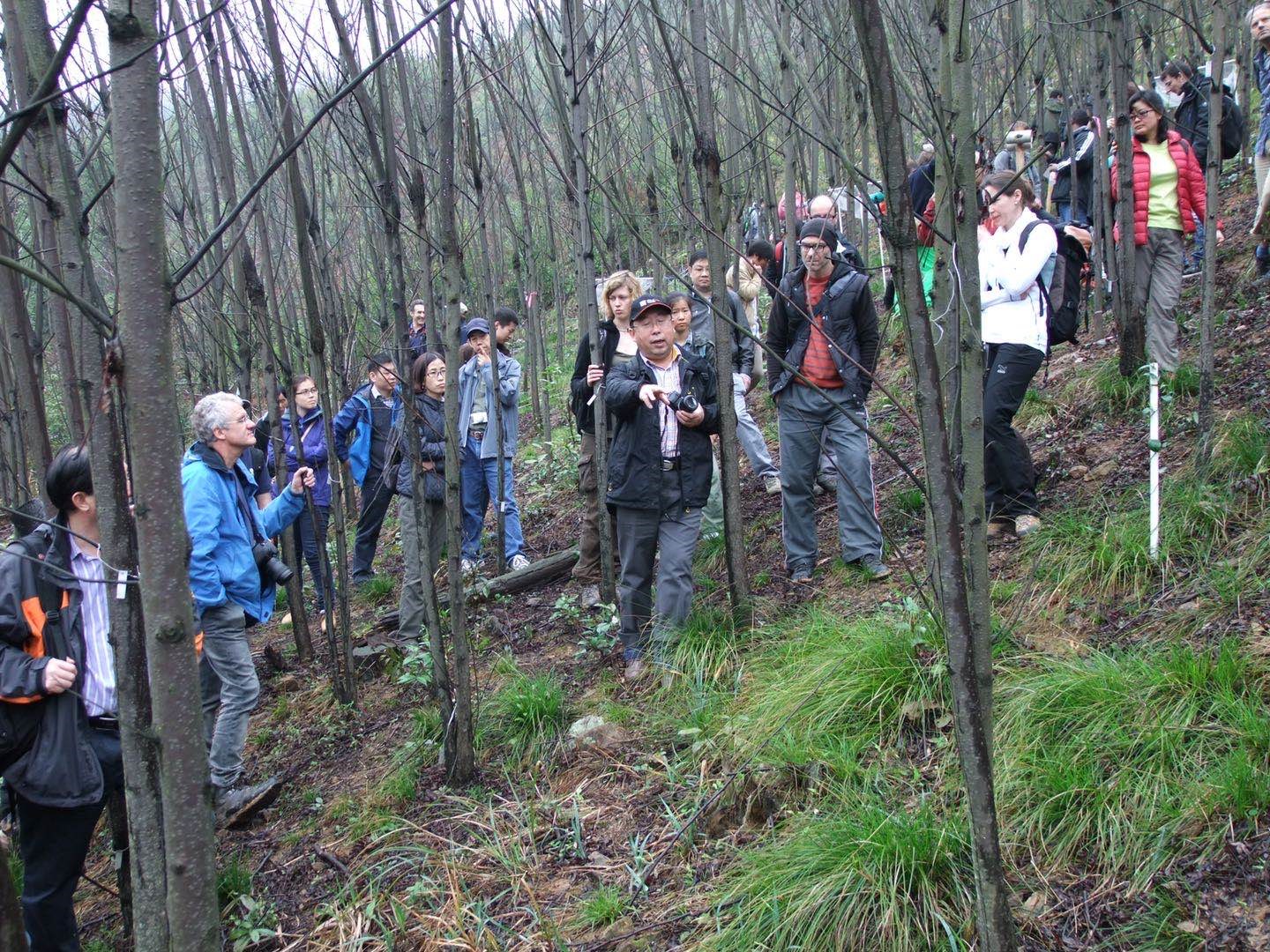 Understanding biodiversity in forests