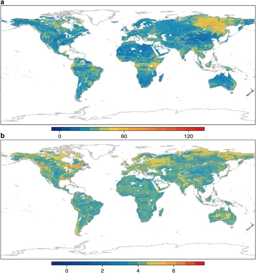 Chinese researchers set up database for soil seed banks