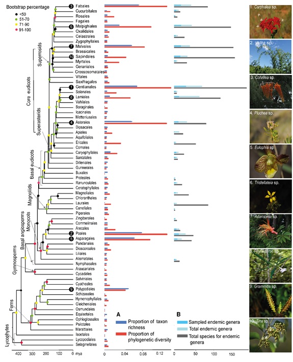 Scientists Unravel Spatial Heterogeneity of Neo- and Paleo-endemism for Plants in Madagascar