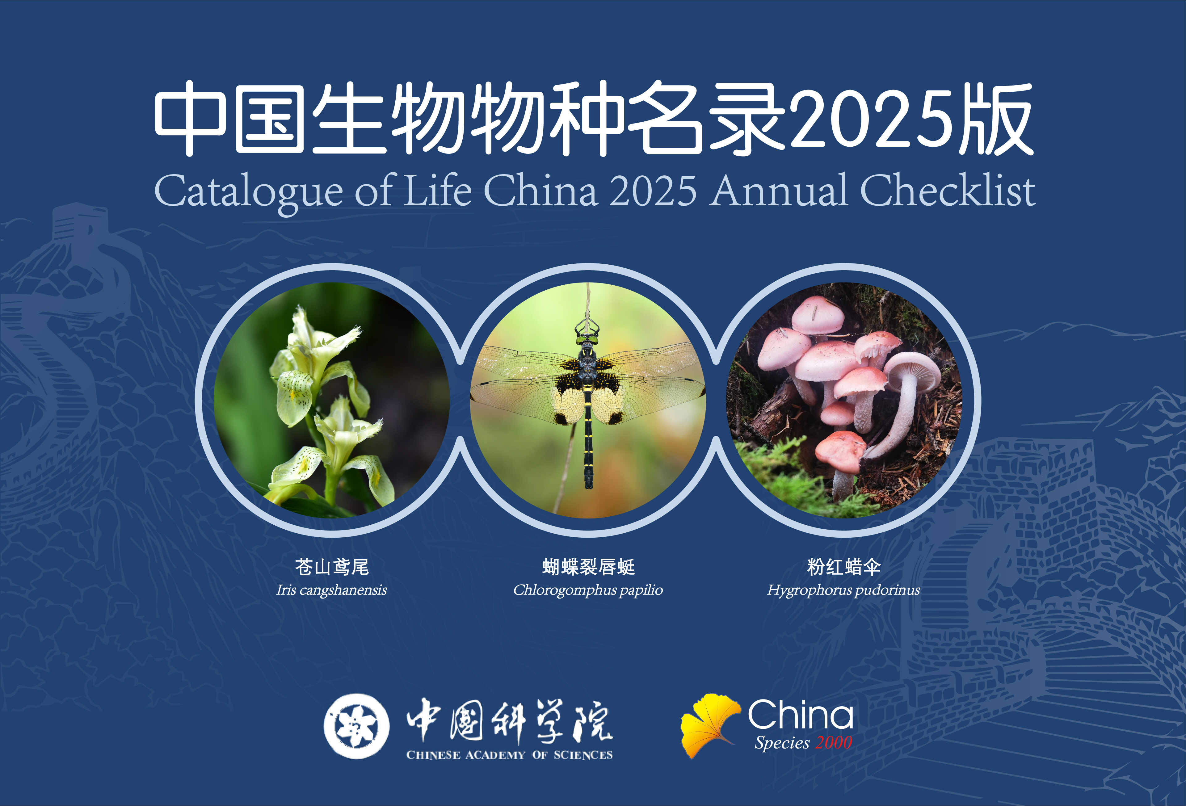 【Xinhua News】China Releases Updated Biodiversity Catalogue