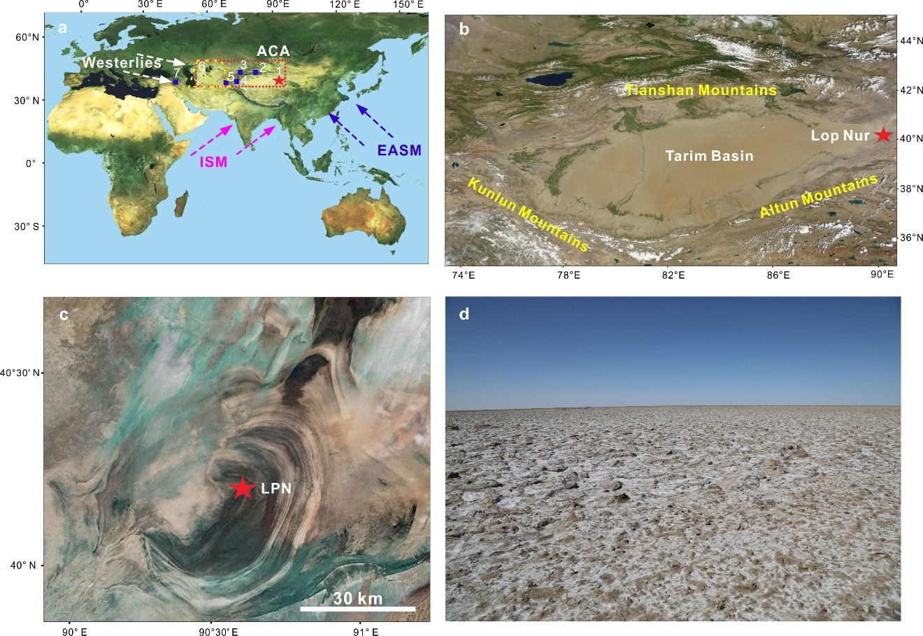 Chinese Scientists Reveal the Evolution of Desert Vegetation at Lop Nur