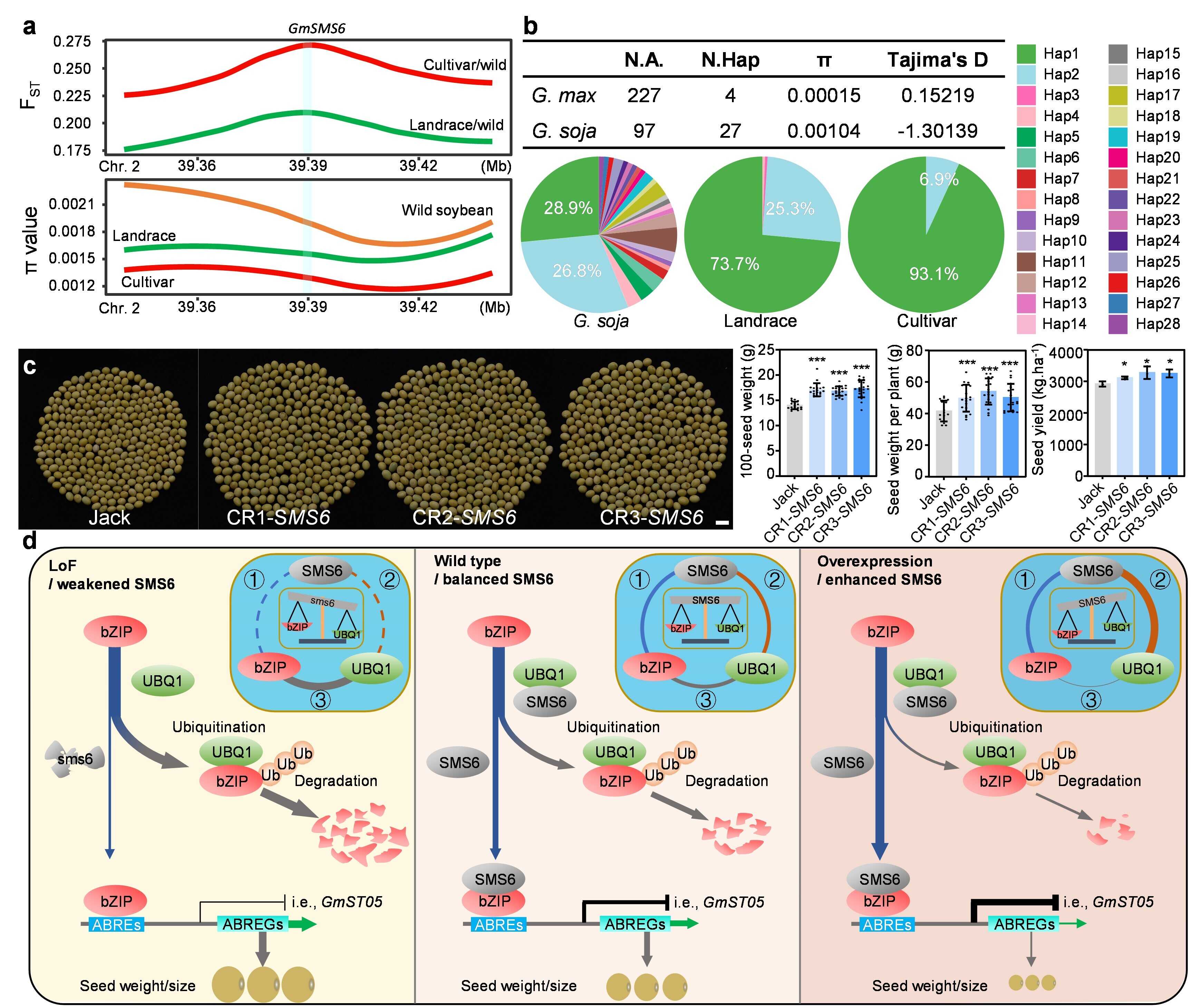 Chinese Scientists Reveal that 14-3-3 Protein Acts as a Key Modulator of Soybean Seed Weight and Quality