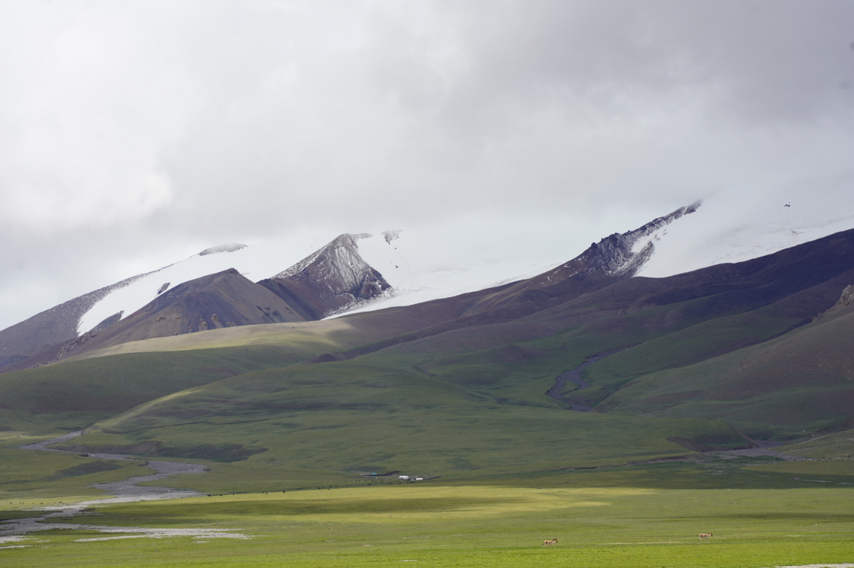 Grassland Degradation Reshapes the Relationship between Biodiversity and Ecosystem Multifunctionality