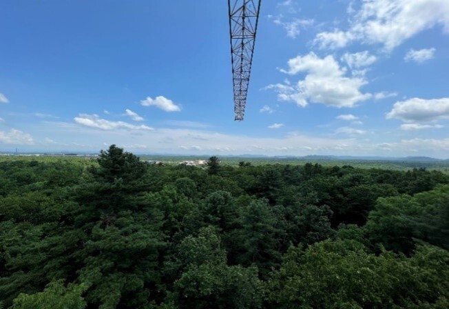 Leaf Elementomes Reveal Close Links with Water-Use Strategies Across Forest Ecosystems