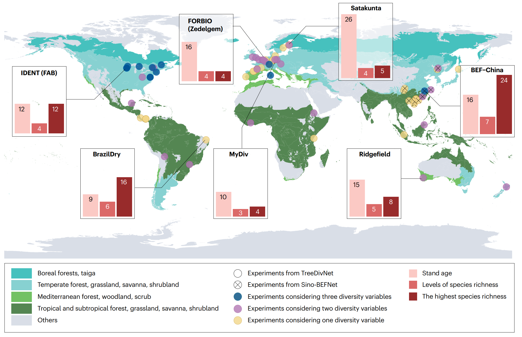 Ecological Insights from 30 Years of Forest Biodiversity Experiments