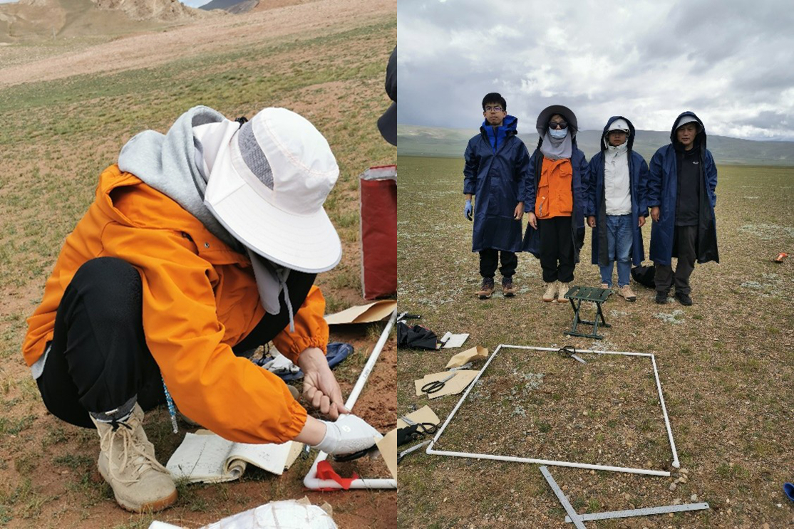 Researchers Publish First High Resolution Global Atlas of Specific Leaf Area Under Climate Change