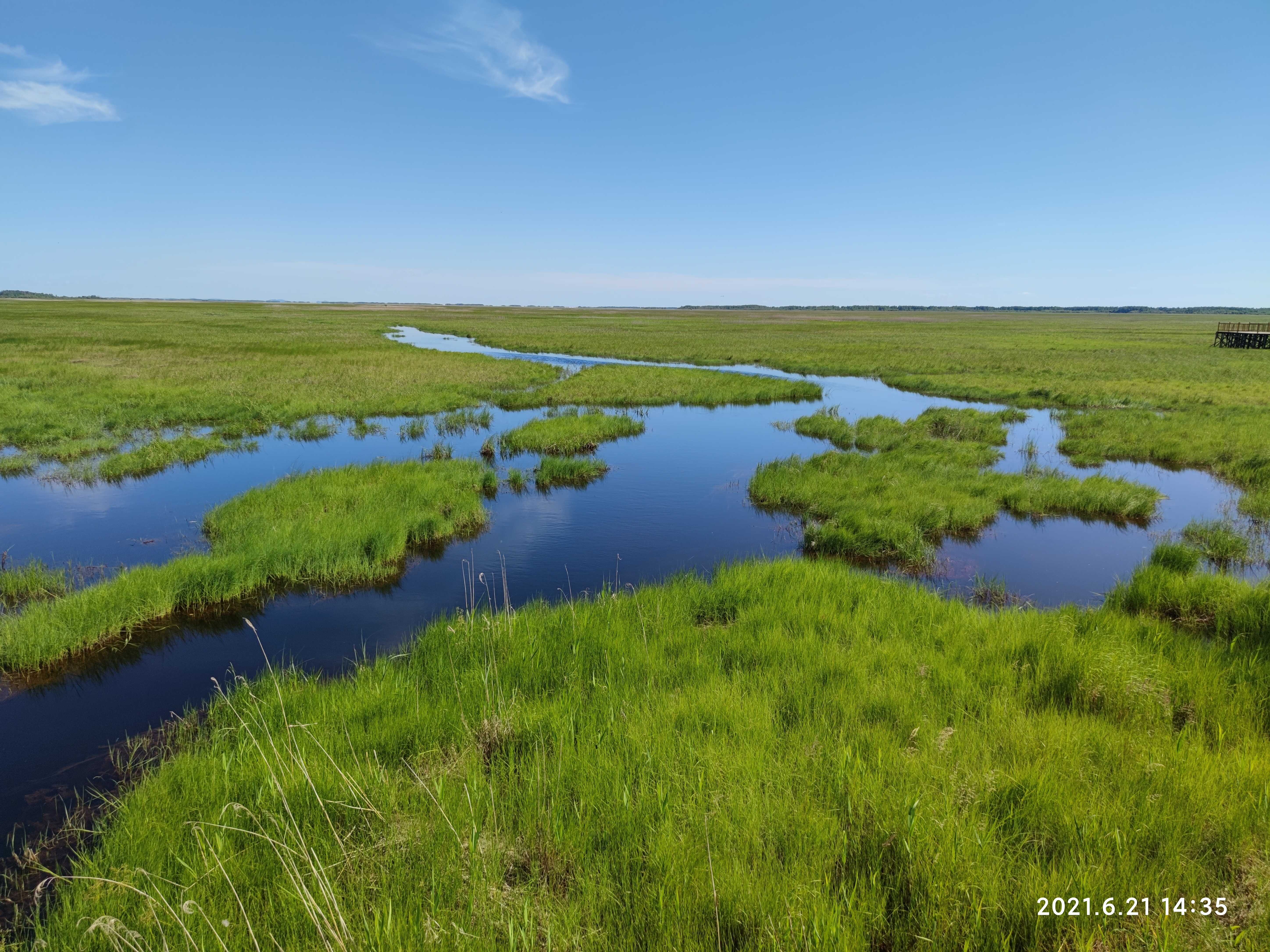 Wetland Drainage Triggers Divergent Soil Carbon Responses in Carbon-Poor versus Carbon-Rich Wetlands